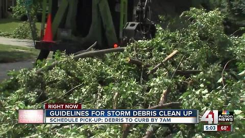 Guidelines for storm debris clean up