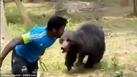 Indian black bear attack by village people