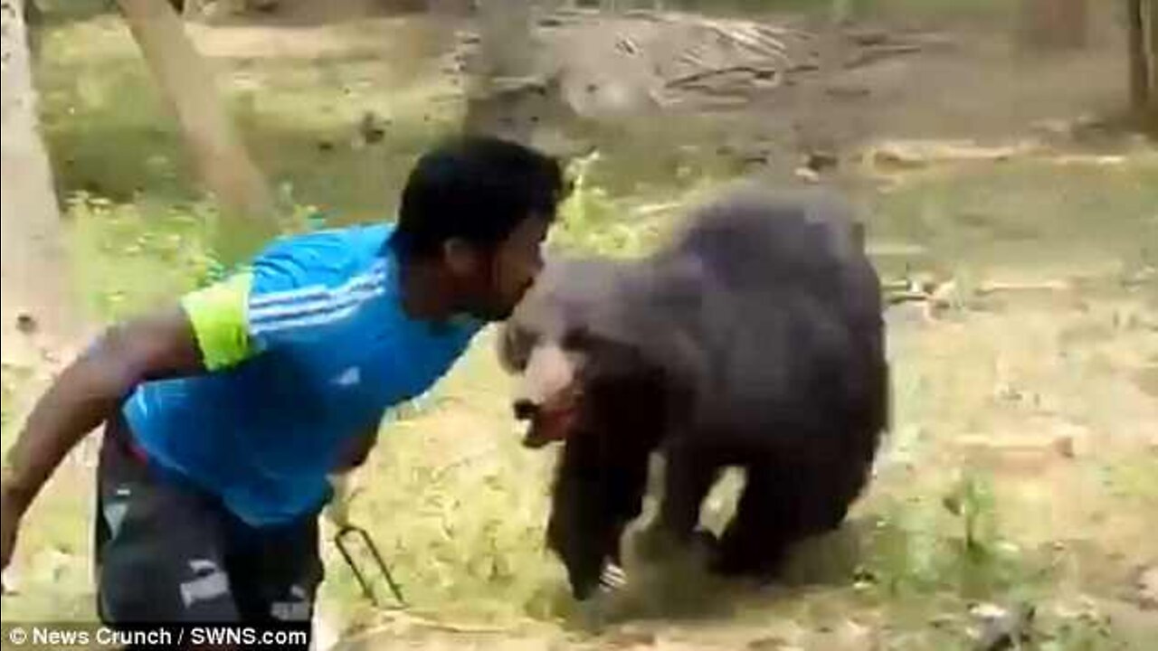 Indian black bear attack by village people