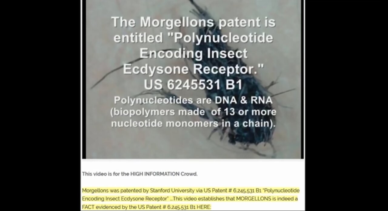 Another Bioweapon ~ Patent for Chemtrailed Morgellon's Disease. This is What True Evil Looks Like