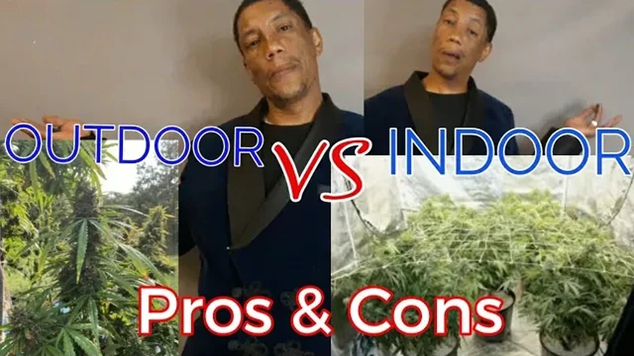 Which Meets Your Needs? Indoor vs. Outdoor Growing (The Grow Variety Show ep.186)