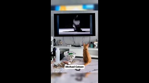 Micheal catson