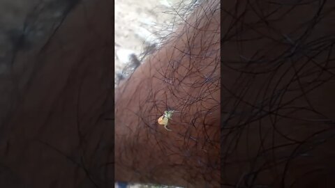 Spending time with a spider 🕸️🕷️