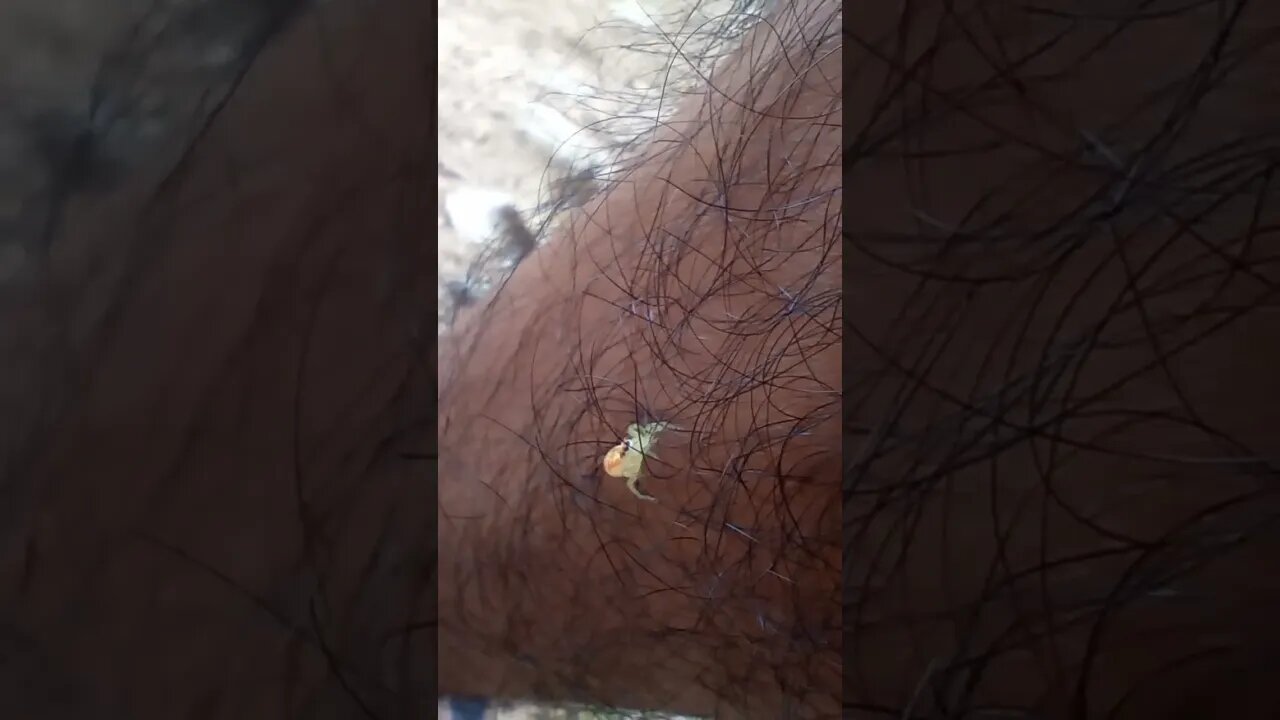 Spending time with a spider 🕸️🕷️
