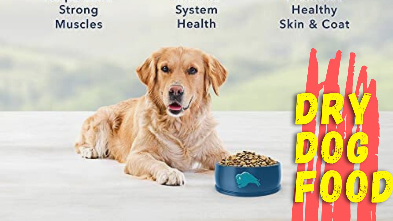 Dry Dog Food▪︎Blue Buffalo Life Protection Formula Natural Adult Dry Dog Food