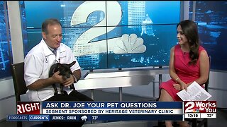 Ask Dr. Joe: Olivia Grey