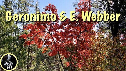 Mogollon Rim Fall Color Hike