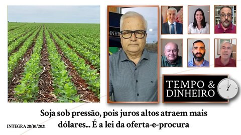 Soja sob pressão, pois juros altos atraem mais dólares... É a lei da oferta-e-procura