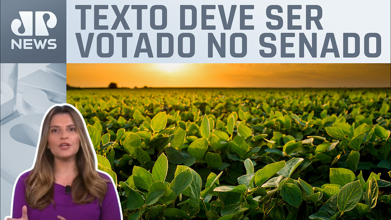 Kellen Severo: Projeto do mercado de carbono impacta o agronegócio