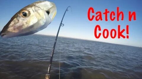 Whiting & Tarwine - Catch n Cook!