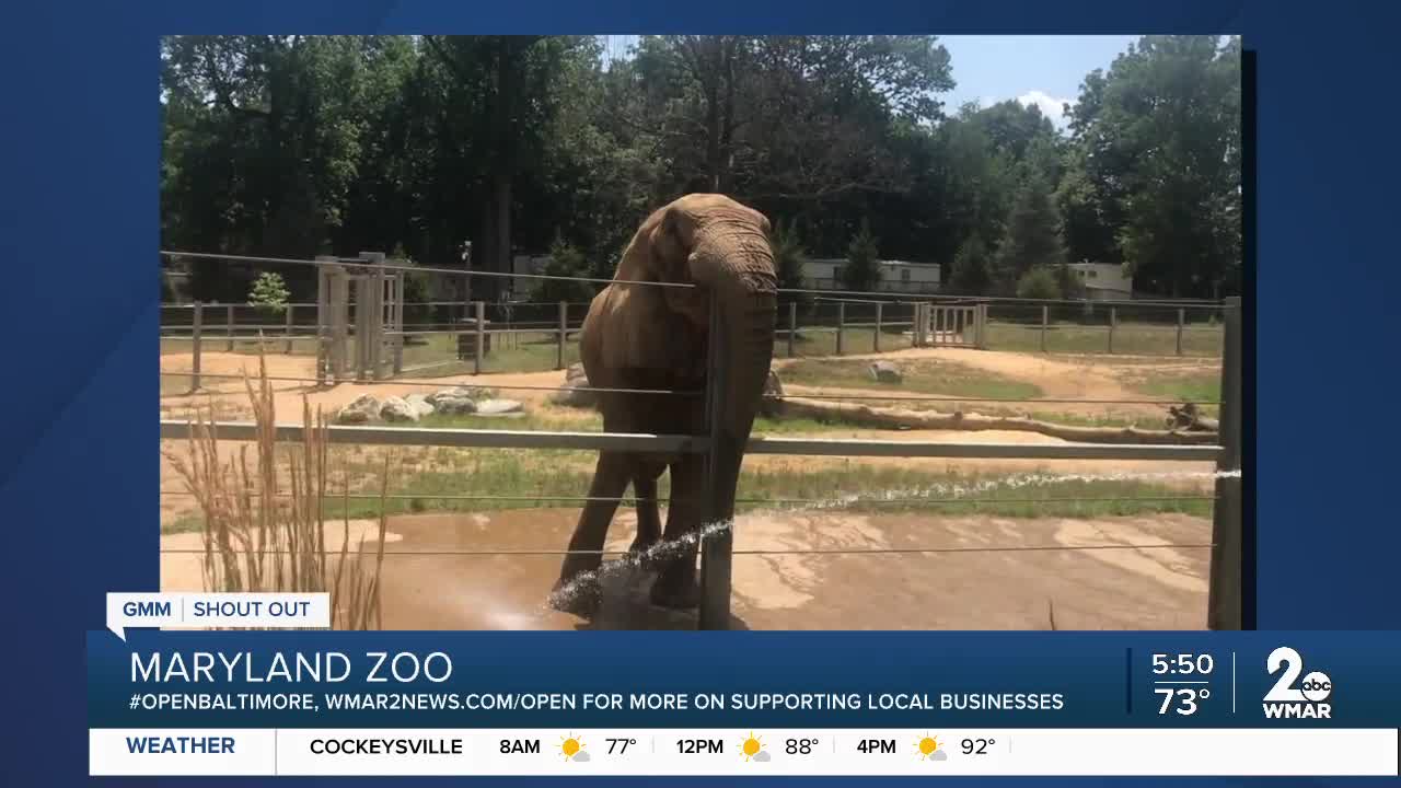 The Maryland Zoo says "We're Open Baltimore!"