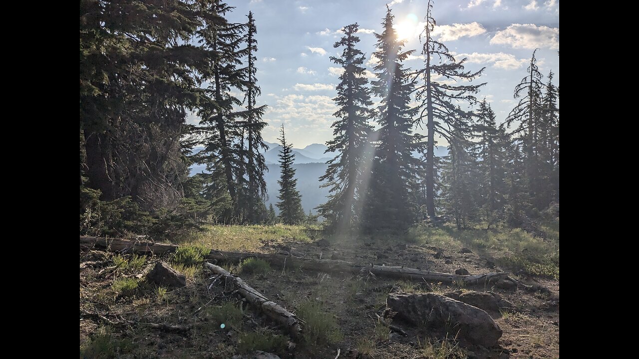 Day 68-69 Pacific Crest Trail 2024 - Charlton Lake to Three Sisters to the Obsidian Wilderness