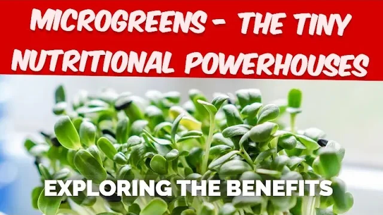 Microgreens - The Tiny Nutritional Powerhouses Exploring the Benefits