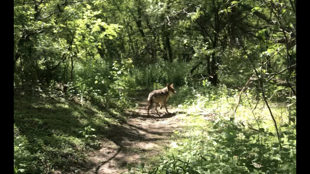 JOURNEY WITH ME (TORONTO HIDDEN TRAILS)