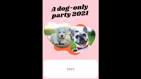 A dog-only party 2021