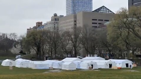 #SAVETHECHILDREN: Children rescued in NYC