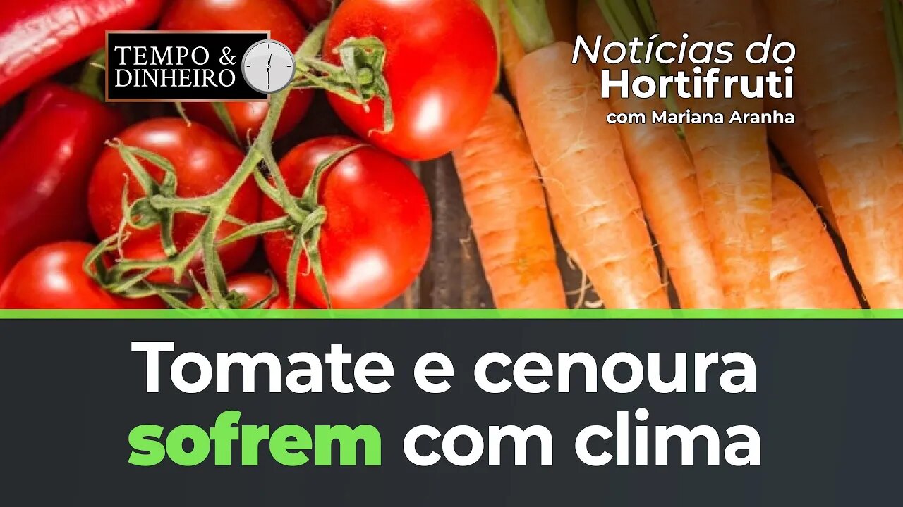 Clima mais frio prejudica desenvolvimento e maturação do tomate e da cenoura