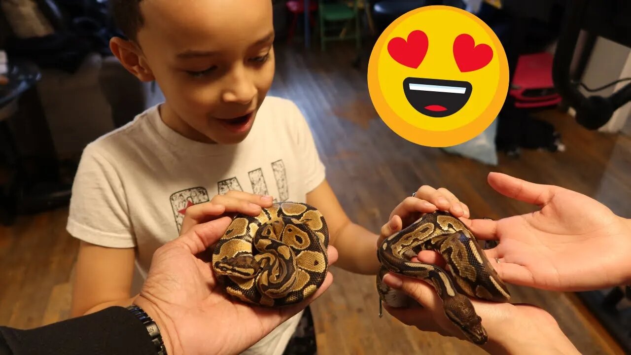 We Surprise Tyler With Two Snakes For His Birthday