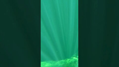 🌎 The World's Deepest 🌎 Freshwater Cave - Wakulla Springs, FL #shorts