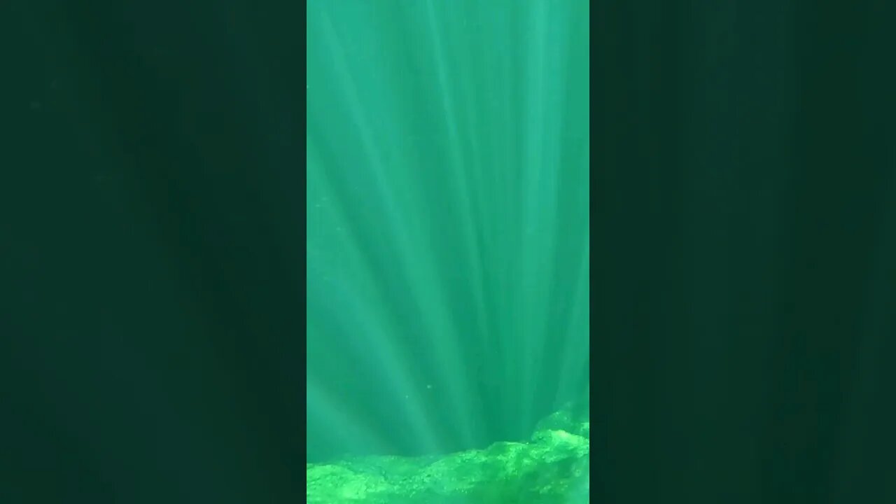 🌎 The World's Deepest 🌎 Freshwater Cave - Wakulla Springs, FL #shorts