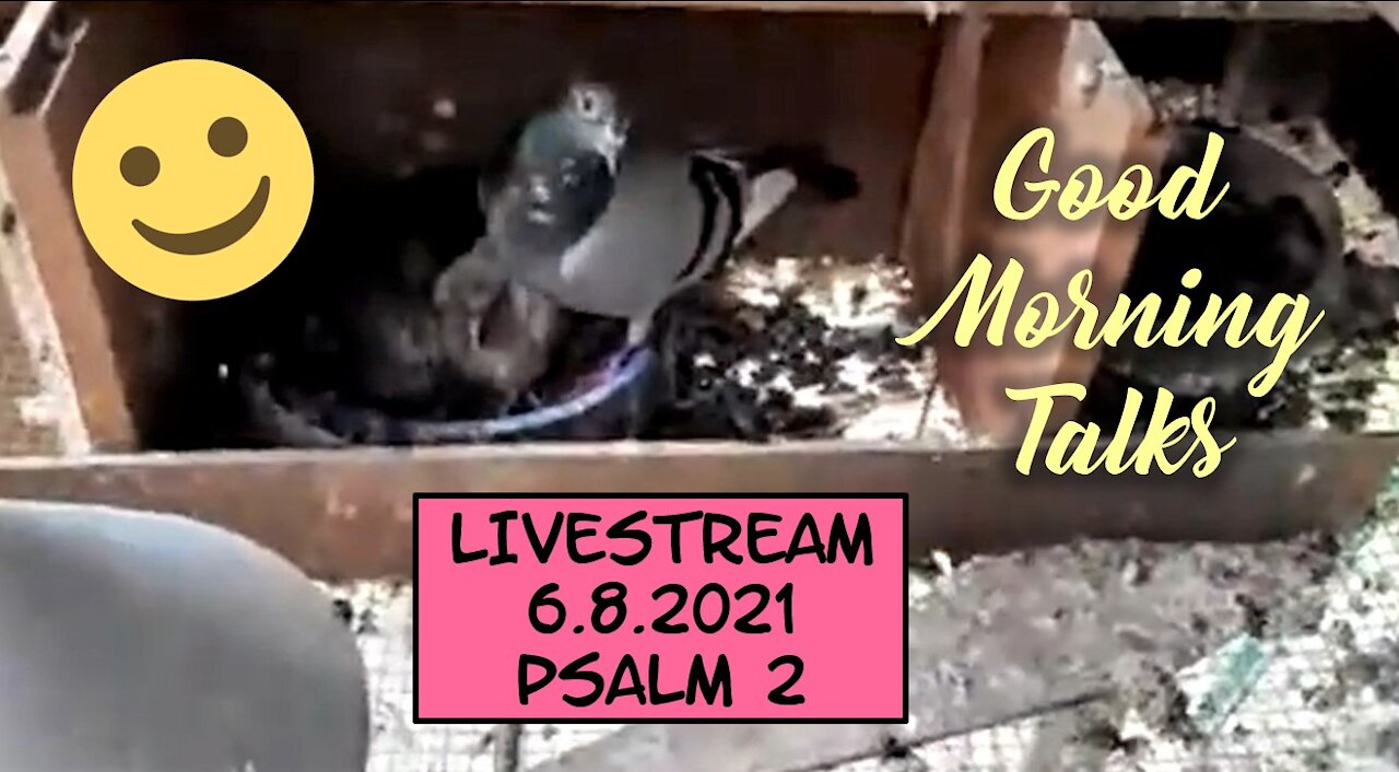 Good Morning Talk - 6.8.2021 - Psalm 2