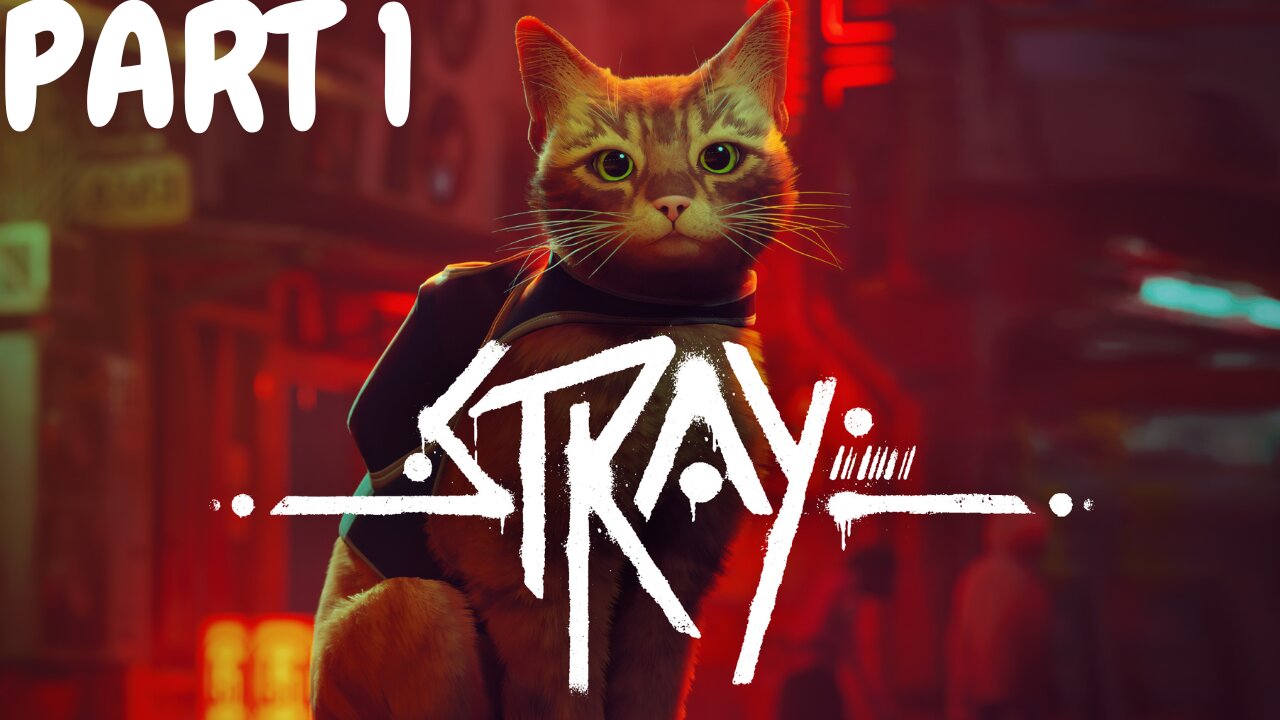 RoKo Plays: Stray | PART 1 | Let's Play