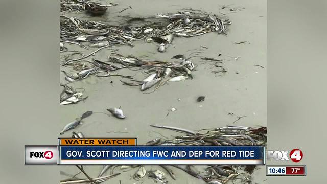 Governor Rick Scott addresses red tide issues