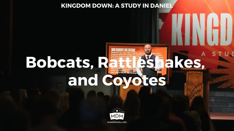 Bobcats, Rattlesnakes, and Coyotes