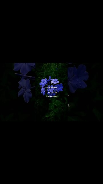 Surah Al-Imran Ayat 1-2 . #quran #quranrecitation #shorts