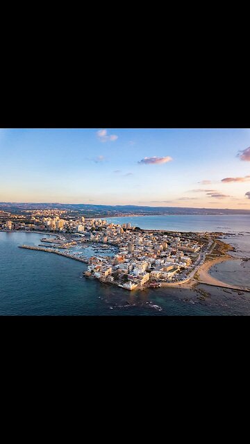 G'night fam. This is a hybrid between a male lion and a female tiger. 😳😳😳
