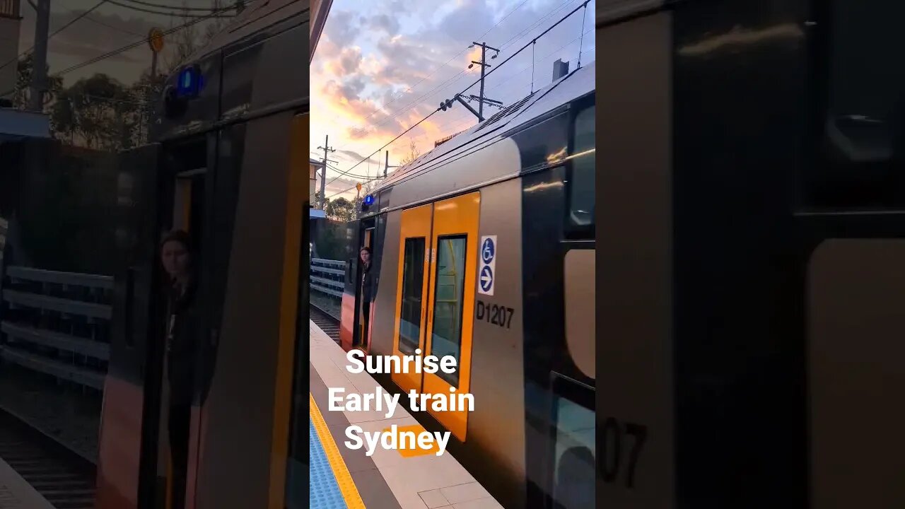 sunrise train ride #shorts #short #train #trains #sunrise #travel #australia #sydney #beautiful