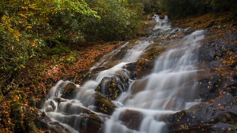 Sam Branch and Wash Hollow Falls