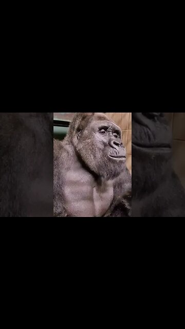 Light snack 🌶️🤗