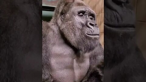 Light snack 🌶️🤗