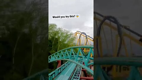 What’s your favorite Busch Gardens Coaster? 🤔 #shorts
