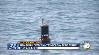 New shark detection technology being tested