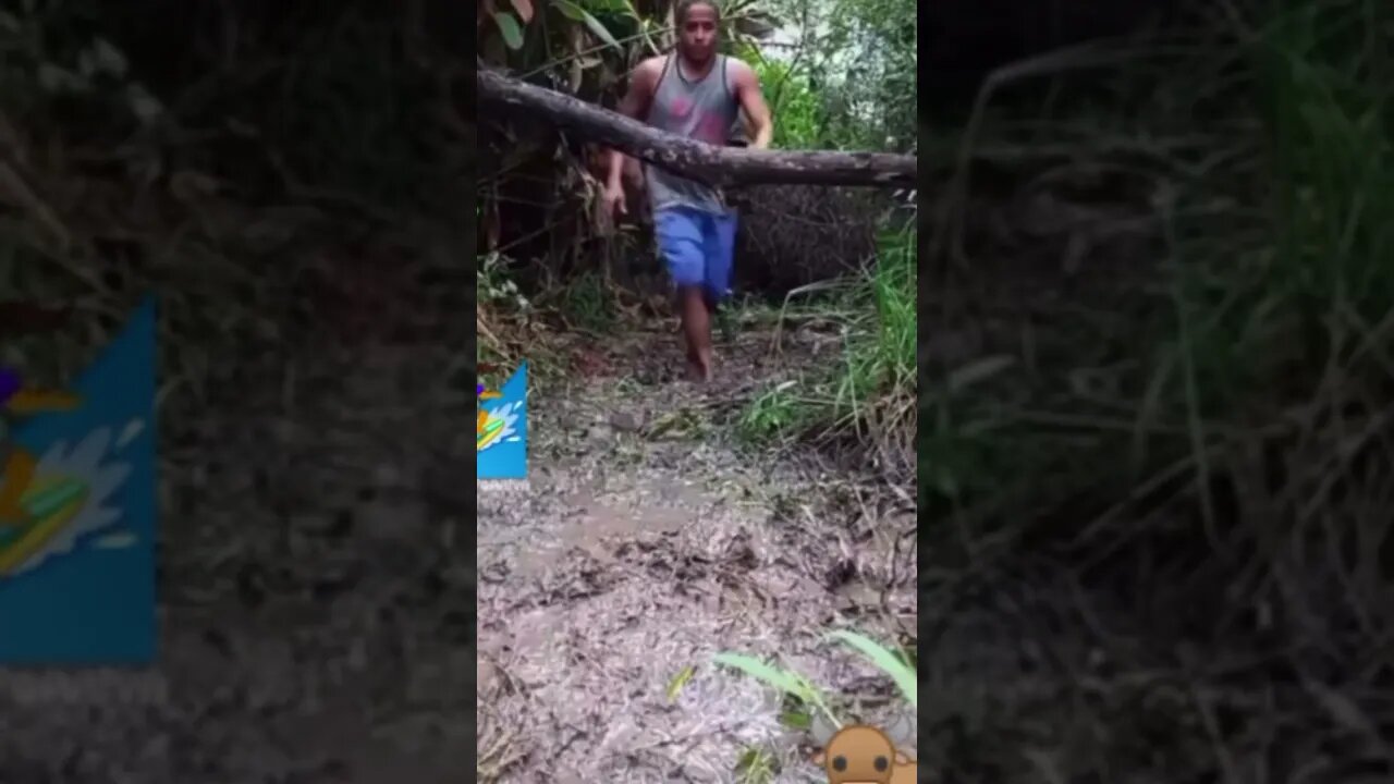 Why would you do that? 😹😹😹 #shorts #viral #youtubeshorts #subscribe #reels #music #tiktok