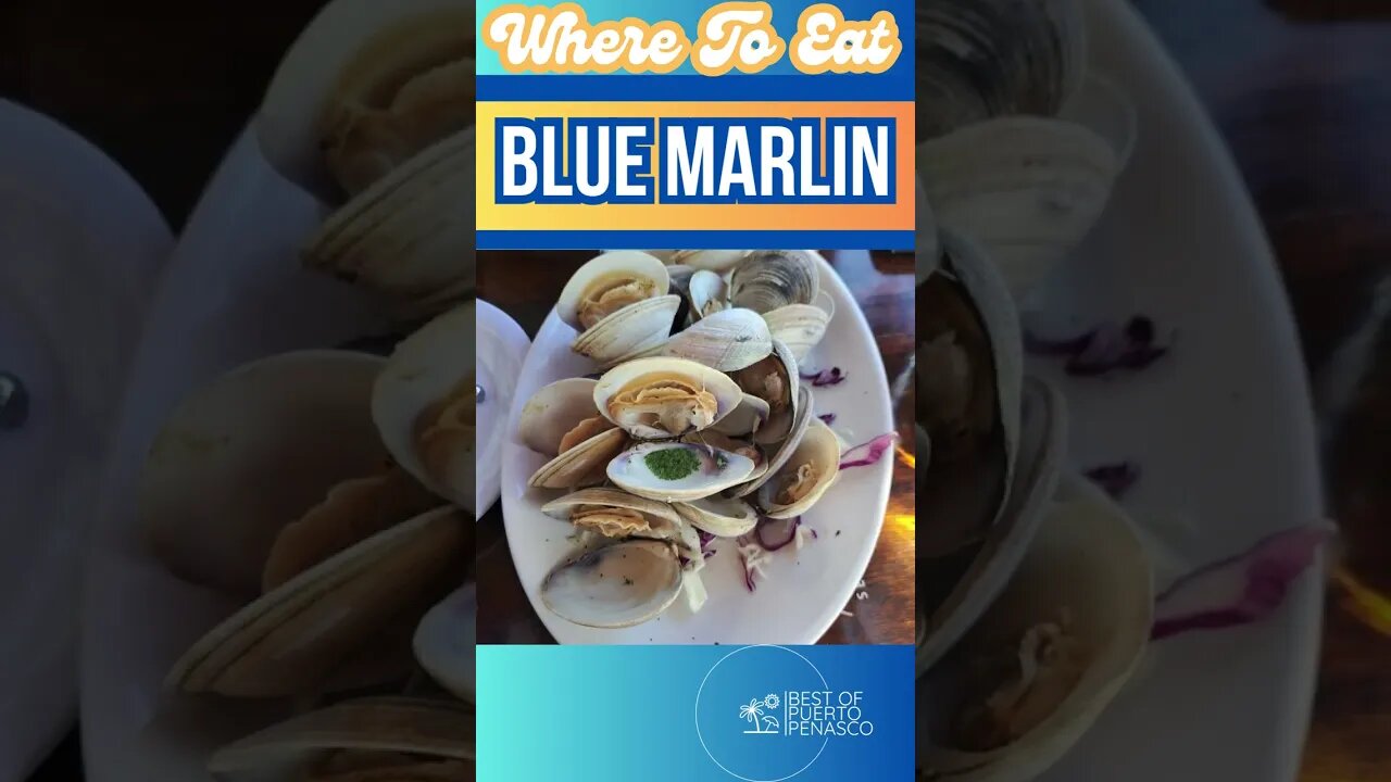 Where To Eat Blue Marlin Rocky Point Mexico Puerto Penasco