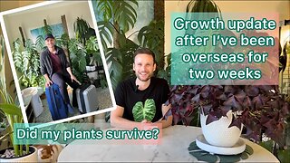 Growth Update after two weeks overseas