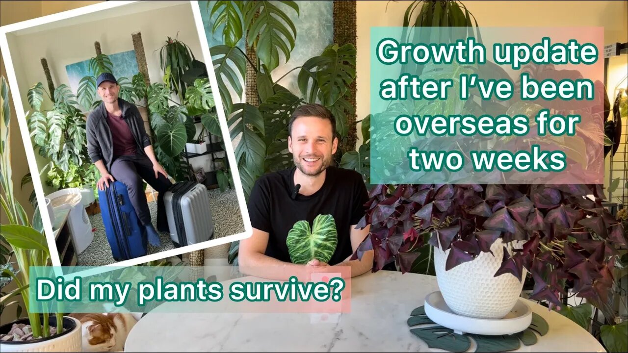 Growth Update after two weeks overseas