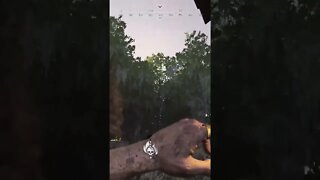 #huntshowdown