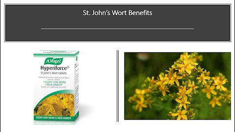 St John's Wort Benefits