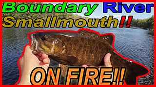 Exploring a Boundary River: Where the Best Smallmouth Bass Hide!