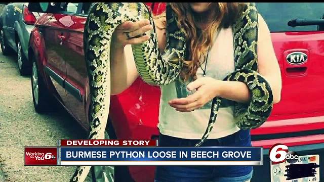 14-foot snake named 'Vine' escapes from Beech Grove home