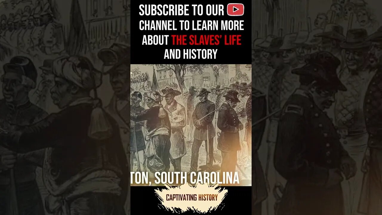 How Many Slaves Lived in the United States? #shorts