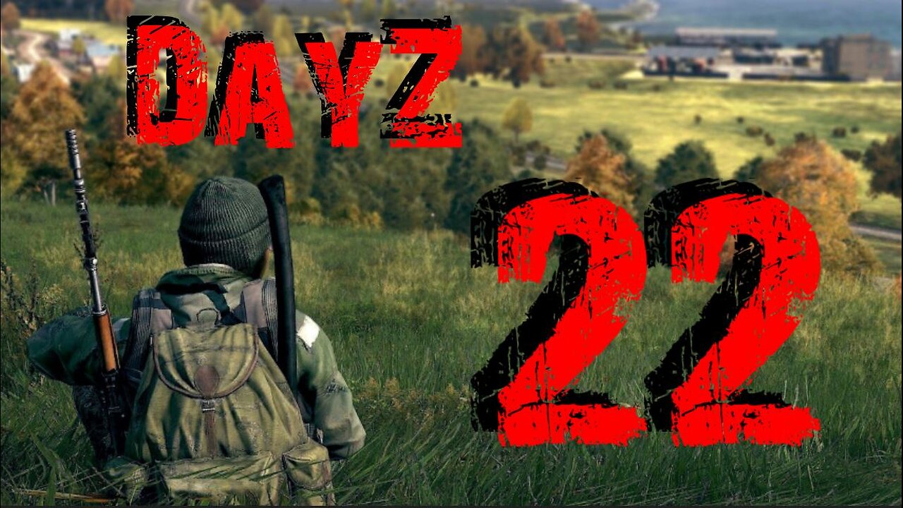 DayZ #22