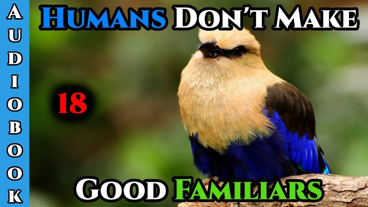 Humans Don't make Good Familiars (Ongoing) - Ch.18 | HFY | Fantasy