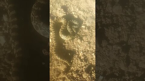 Saturday July/15/2023 Video 1