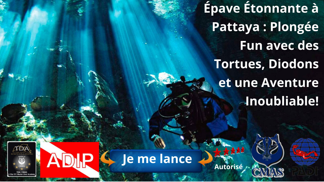 Épave Étonnante à Pattaya , Plongée Fun avec des Tortues, Diodons et une Aventure Inoubliable