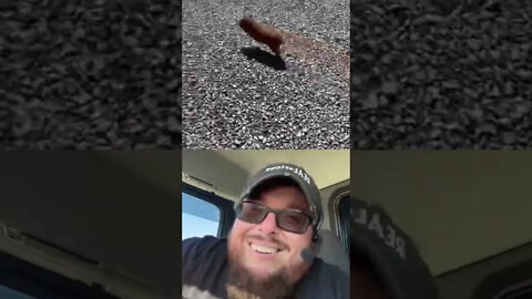 Here’s Your Dose Of REALarious…🤣🤣🤣 with @Farmer Payton